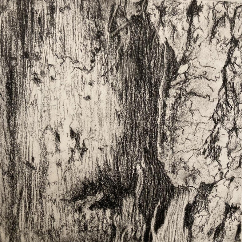 Wood Texture Materials Used: Charcoal