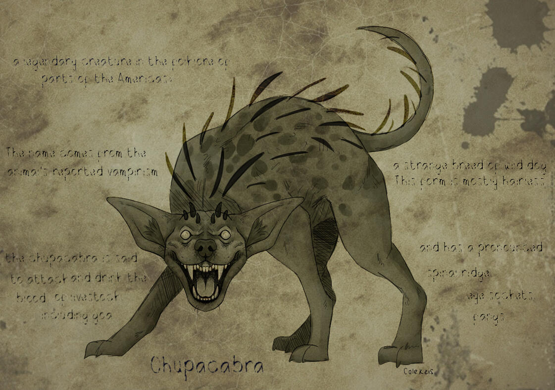 The Chupacabra Software Used: Procreate